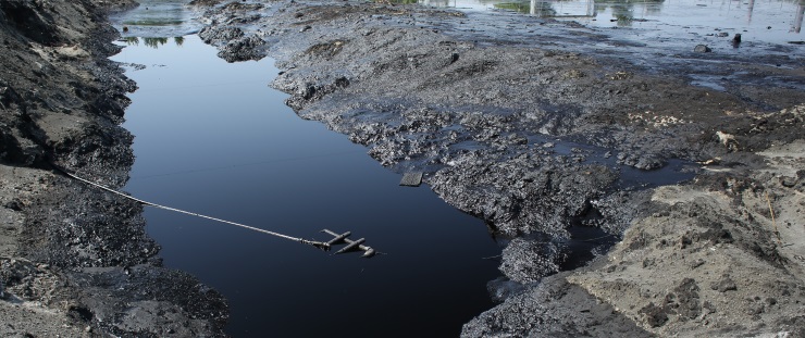 Banner ostravská laguna