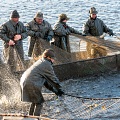 Fishermen