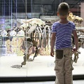 Child in the museum