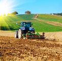 Tractor in the field